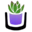 The Succulent Source
